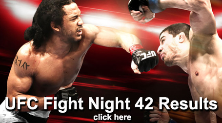 UFC Fight Night 42 Results