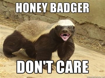 Honey-badger-dont-care_medium