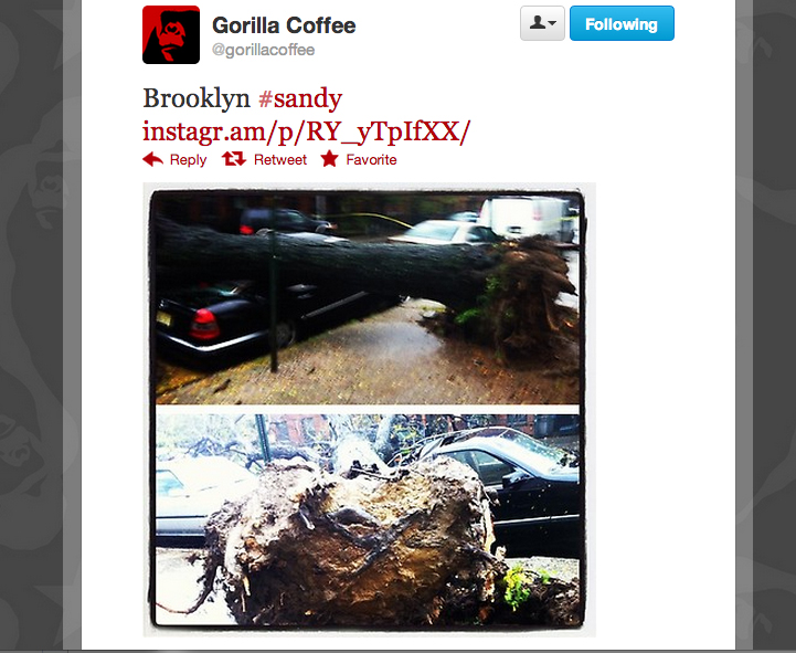 2012_gorilla_coffee_park_slope_12.jpg