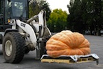 worlds-biggest-pumpkin-150.jpg