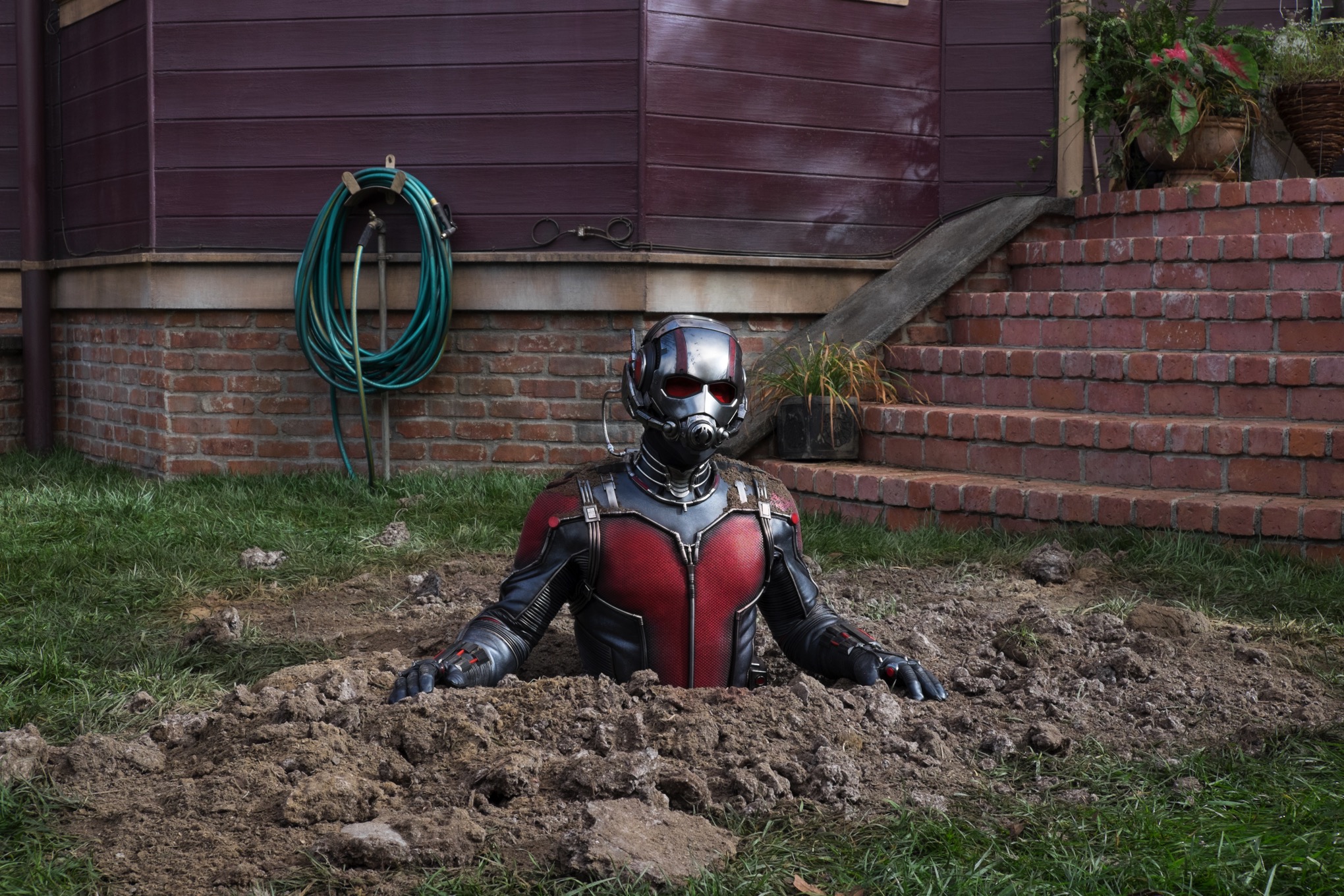 Ant-Man promotional image (MARVEL/DISNEY)