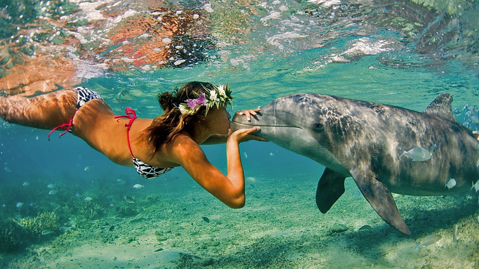 dolphin-girl-kiss-1600x900.0.jpg