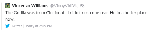 vince.0.png